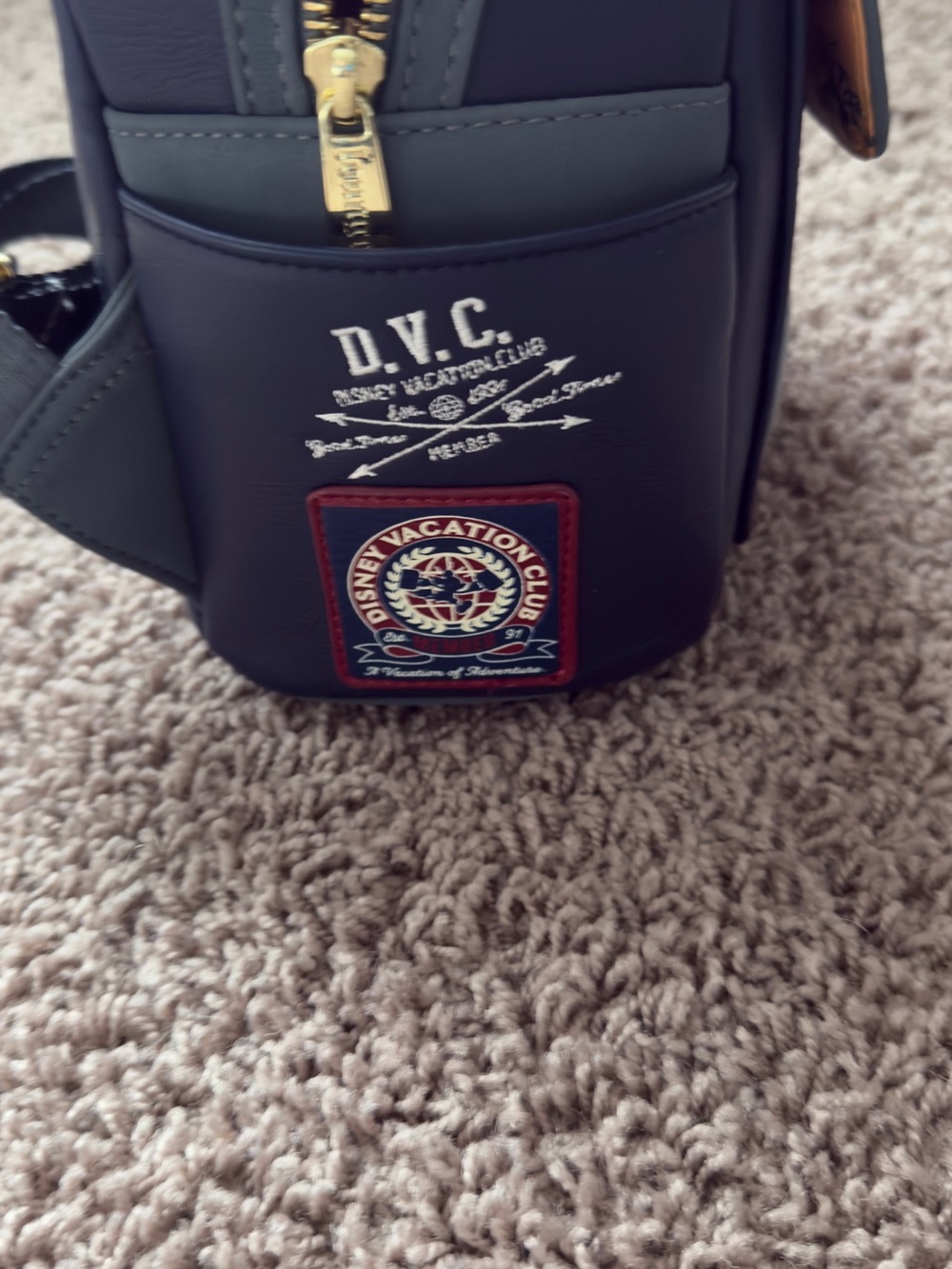 Disney Vacation Club 30th Anniversary Mini Backpack Loungefly - Picture 7 of 9